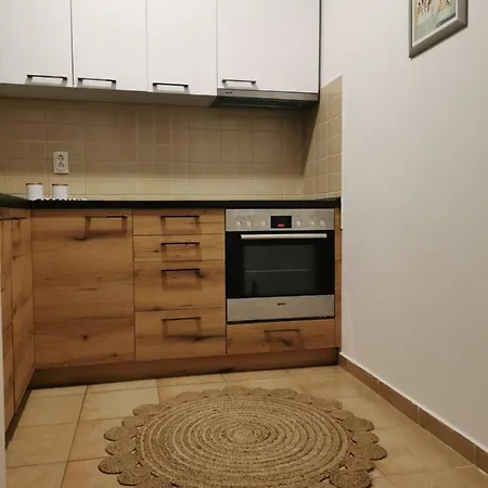 Centar Ns Apartament *